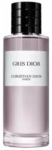 Christian discount dior gris